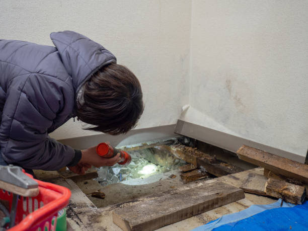 Best Comprehensive Air Testing for Mold Contaminants  in Lennox, SD