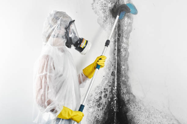 Best Mold Removal for HVAC Installations  in Lennox, SD