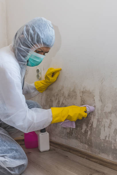 Mold Remediation for Vacation Homes in Lennox, SD